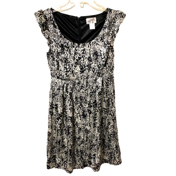Francesca’s Paraella Silky Dress - Black/Light Cream - Size Small - Picture 1 of 8